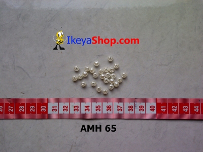 AMH 65  large2